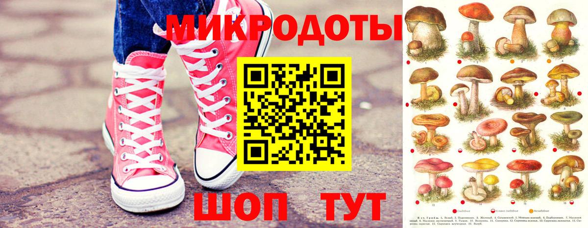 Псилоцибиновые грибы MAGIC MUSHROOMS  Вход с VPN  Кропоткин 