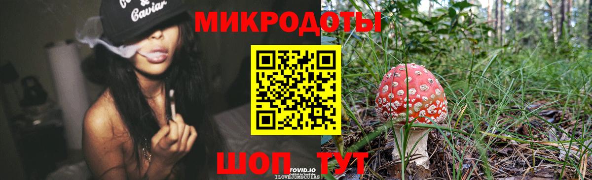Галлюциногенные грибы мухоморы Кропоткин